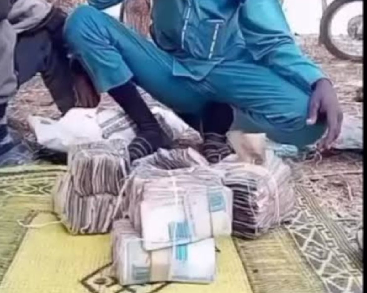 Screenshot_20251216_230057_Google